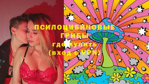 тгк Бронницы