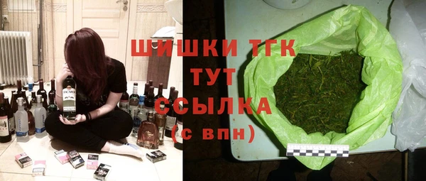 тгк Бронницы